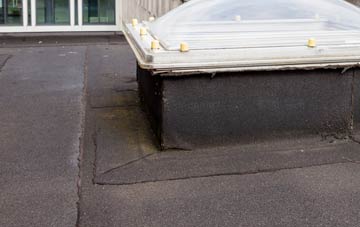 disadvantages of Burdon flat roofs