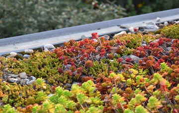 the cost of Burdon green roof installation