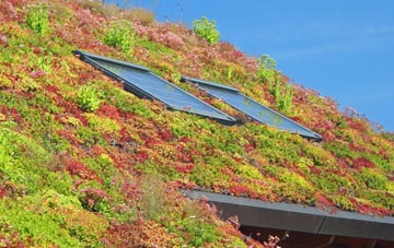 Burdon living roof systems