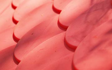 Burdon plastic roof costs