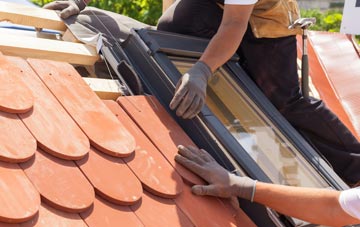 replacement Burdon roof windows