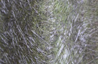 Burdon fibreglass roof work